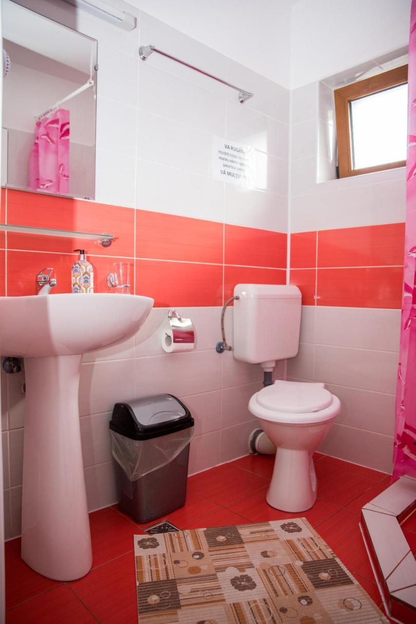 Vila Alegria Buşteni Extérieur photo
